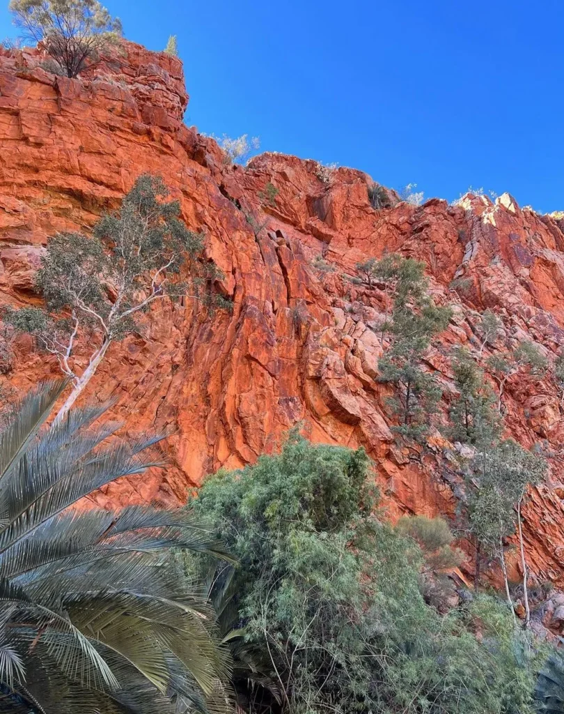 vogmask-europe | What Grade is the Larapinta Trail? Difficulty and Tips vogmask-europe | What Grade is the Larapinta Trail? Difficulty and Tips